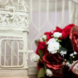 Accents Event Decor & Photo Booth Rental