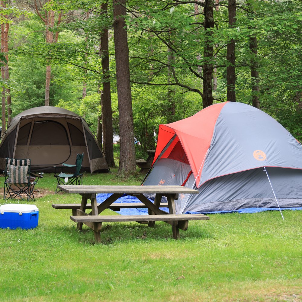 THE BEST 10 CAMPGROUNDS near LUCINDA, PA - Updated 2026 - Hours - Yelp