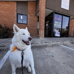 Fido Spa - The Fido Spa