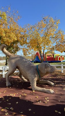 Purina Farms by null