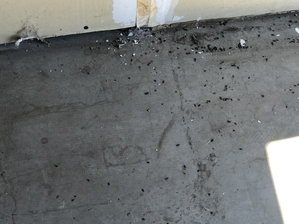 TIJERAS SELF STORAGE with photos Updated August 2024 14 Photos 201 Dorado Pl SE