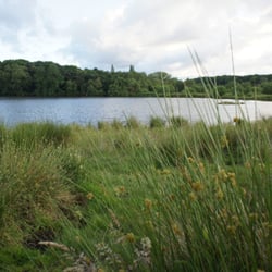 Sutton Park, Longmoor Pool
