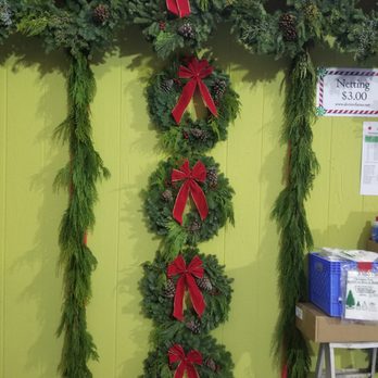 ABC Tree Farms - Christmas Trees Near Me - Temecula, California ABC Tree Farms - Christmas Trees Near Me - Temecula, California