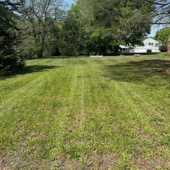 Mustard Seed Lawncare - Lawn Services Near Me - Hickory, North Carolina Mustard Seed Lawncare - Lawn Services Near Me - Hickory, North Carolina
