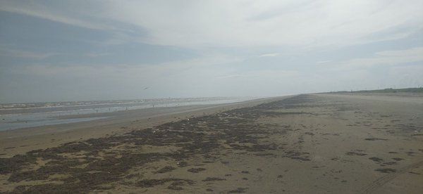Sea Rim State Park by null