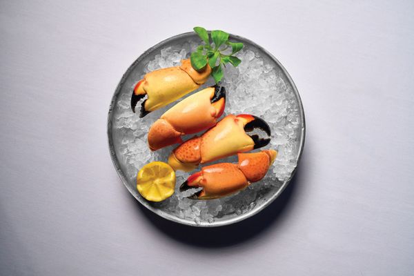 Catch & Cut by null