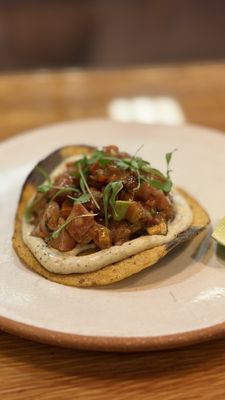 Cozobi Fonda Fina by null