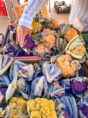 Union Square Greenmarket by null