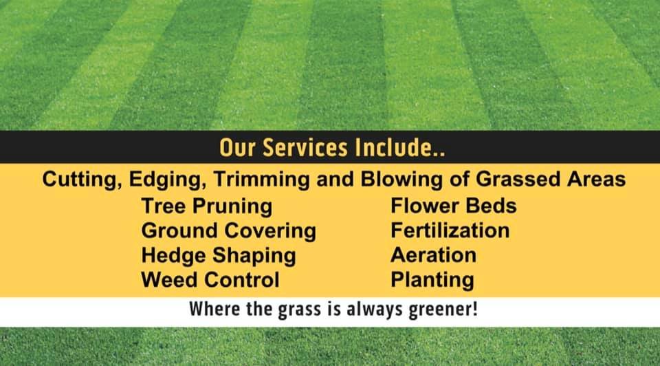 JohnnyK Services - tree service in Methuen, MA