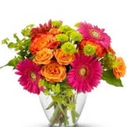 Flowerland Florist - End of the Rainbow
