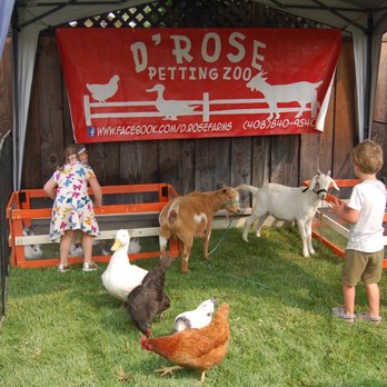 D'Rose Petting Zoo - These are just a few of the adorable animals D'Rose Petting Zoo brought with them! - Petting Zoos Near Me - Gilroy, California