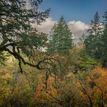 Bridal Veil Falls - Hiking Near Me - Corbett, Oregon