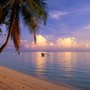 Photo of TripwithB