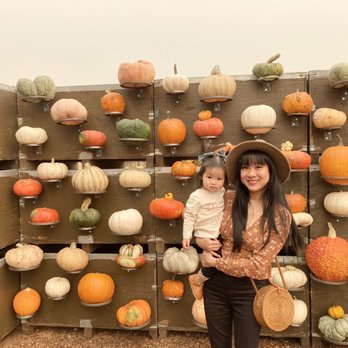 Rocky Oaks Goat Creamery - Lots of different and interesting gourds! - Attraction Farms Near Me - Clovis, California Rocky Oaks Goat Creamery - Lots of different and interesting gourds! - Attraction Farms Near Me - Clovis, California