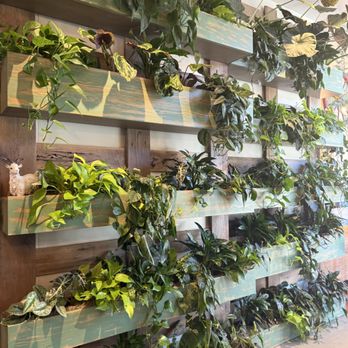 Valley Goat - Interior wall - New American Near Me - Sunnyvale, California Valley Goat - Interior wall - New American Near Me - Sunnyvale, California