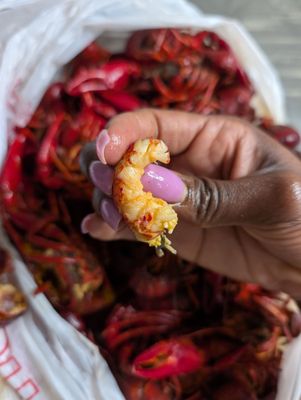 Atchafalaya Crawfish by null