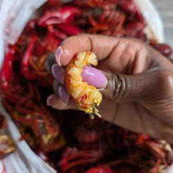 Atchafalaya Crawfish