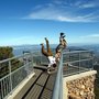 Photo of 20 Minute Loop