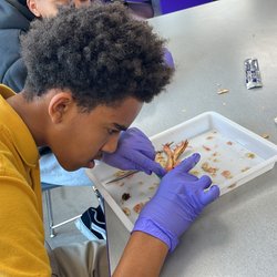 Unity Classical Charter School