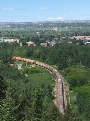 Edworthy Park by null