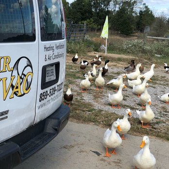 Mr. HVAC - MR. HVAC - Heating & Air Conditioning/HVAC Near Me - Lexington, Kentucky