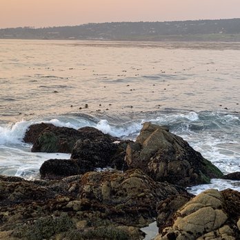 Carmel Beach - Beaches Near Me - Carmel-by-the-Sea, California