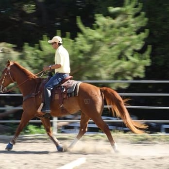 Apple Creek Farms - One of the arenas - Horseback Riding Near Me - Castro Valley, California Apple Creek Farms - One of the arenas - Horseback Riding Near Me - Castro Valley, California