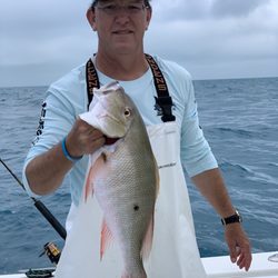 Captain For Hire - Mutton on January reef