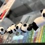 Photo of Panda Dumpling