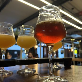 Saccharomyces Beer Cafe - Beer Bar Near Me - South Brisbane, QLD