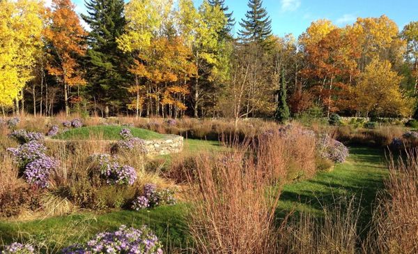 Mountain Top Arboretum by null