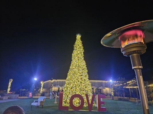 Kristy's Malibu by null