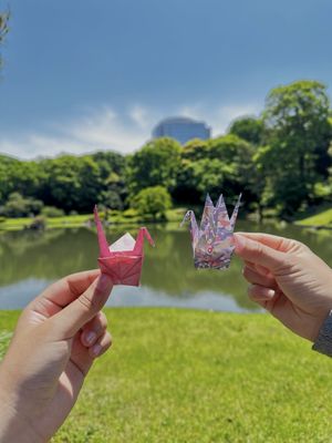 Rikugien Gardens by null