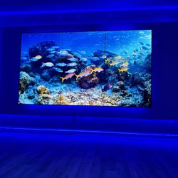 LifeMed Institute - Fish screen