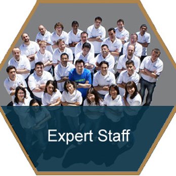 Web Design Express - Web Design Express Staff! - Web Design Near Me