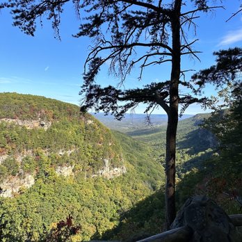 Cloudland Canyon State Park - View - Parks Near Me - Rising Fawn, Georgia
