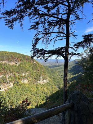 Cloudland Canyon State Park by null