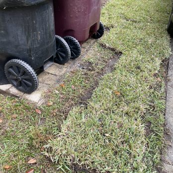 Sod Depot - sod on top of turf - Landscaping Near Me - Orlando, Florida Sod Depot - sod on top of turf - Landscaping Near Me - Orlando, Florida