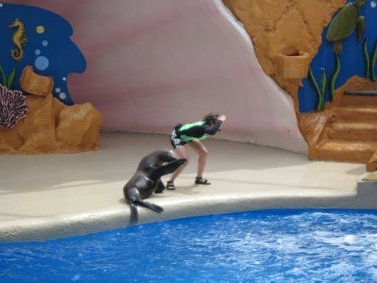 Miami Seaquarium by null