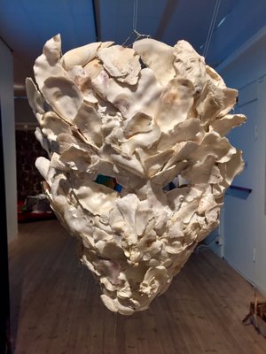 Norrbottens museum by null