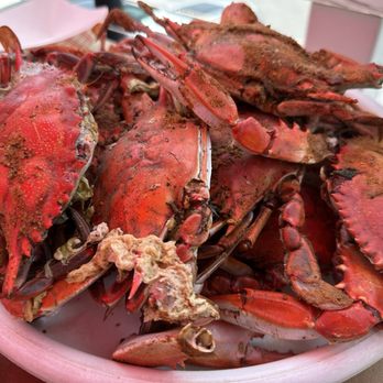Mikes Crab House North - Dozen Medium Crabs - Seafood Near Me - Pasadena, Maryland Mikes Crab House North - Dozen Medium Crabs - Seafood Near Me - Pasadena, Maryland