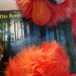 von Kloeden - He loves to read The Town Musicians of Bremen ;O))!