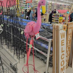 Hobby Lobby