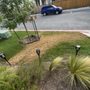 Almendarez Landscaping