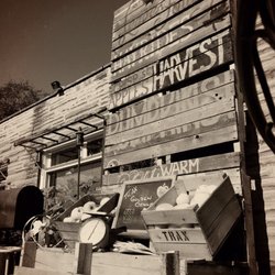 Steel City Convenience 