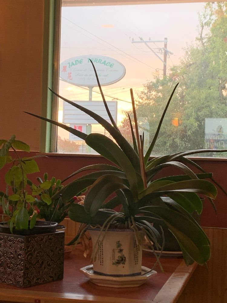 Food from Jade Terrace