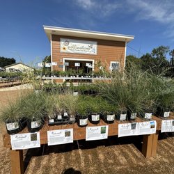 Pollinatives
