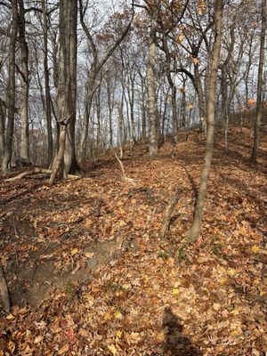 South Mountain Reservation by null