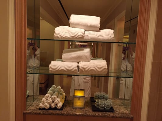 The Ritz-Carlton Spa by null
