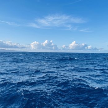 Trilogy Excursions - Snorkeling Near Me - Lahaina, Hawaii